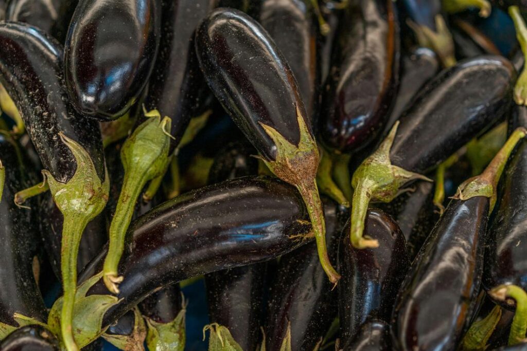 Bourek algérien à la viande traditionnel préparé selon la méthode authentique