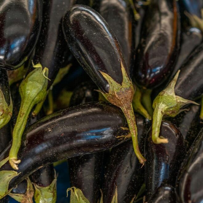 Bourek Algérien à la Viande : L’Art Culinaire du Maghreb dans Votre Assiette