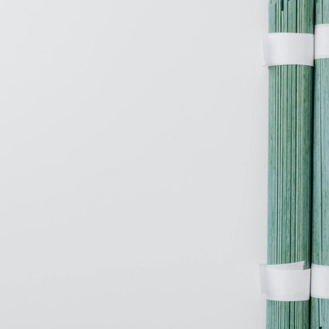 Brick au Thon Tunisien : Un Voyage Culinaire Authentique