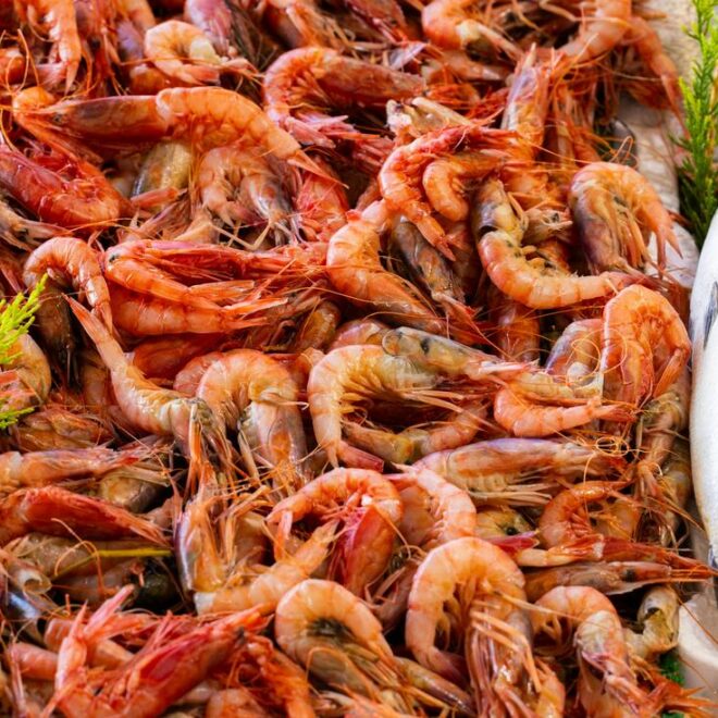 Cuisine marocaine pour Ramadan : Découvrez les Secrets Authentiques des Plats Traditionnels