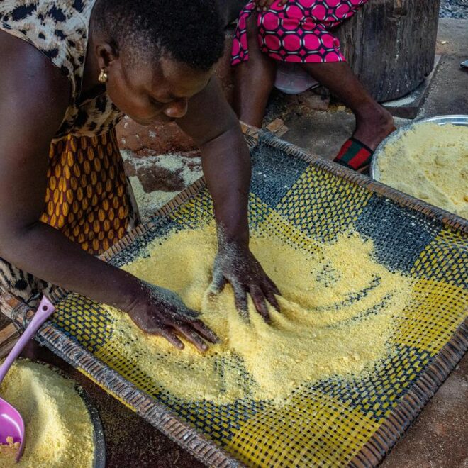 Pastilla Marocaine aux Épinards : Un Voyage Culinaire Authentique